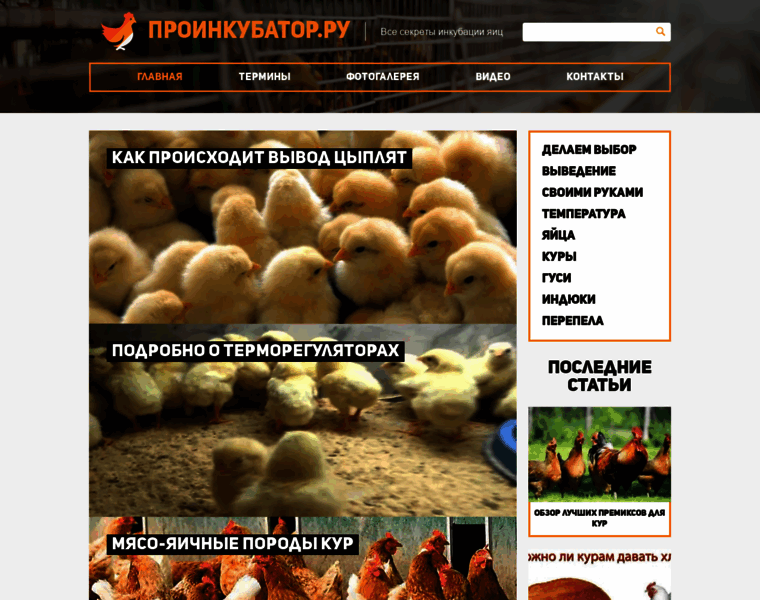 Proinkubator.ru thumbnail