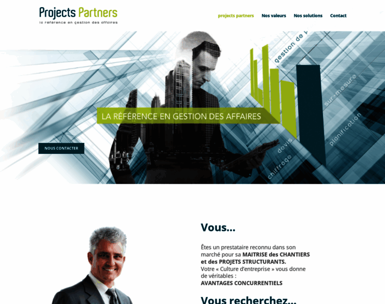 Projects-partners.net thumbnail