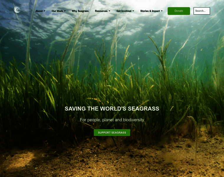 Projectseagrass.org thumbnail