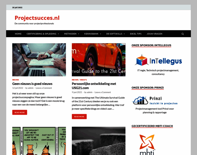 Projectsucces.nl thumbnail