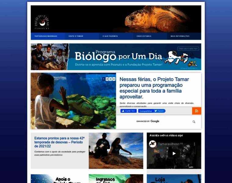 Projetotamar.org.br thumbnail