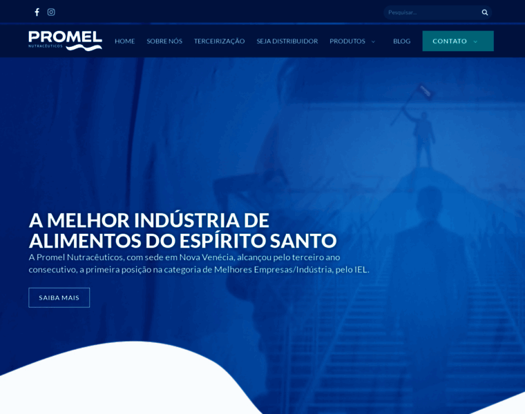 Promel.com.br thumbnail
