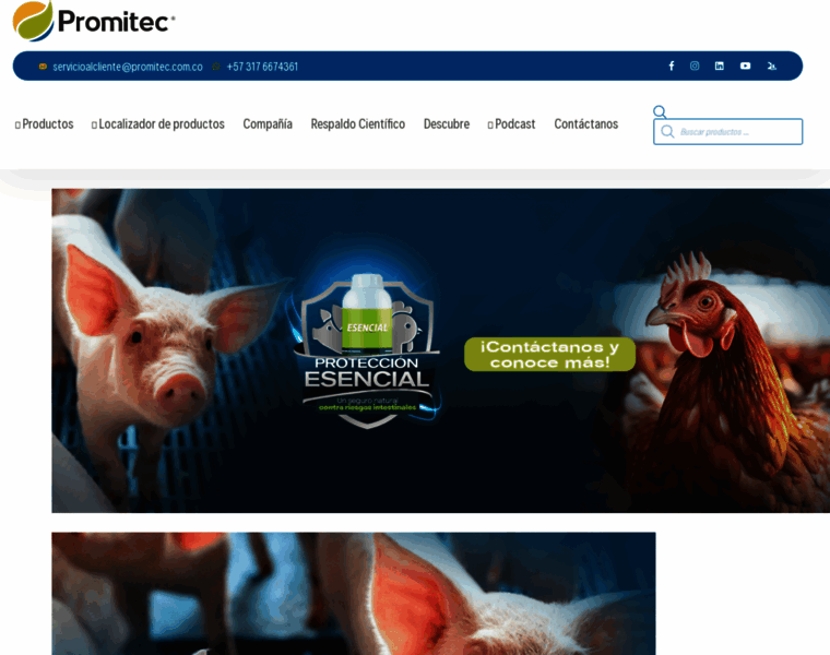 Promitec.com.co thumbnail