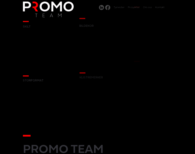 Promo-team.no thumbnail