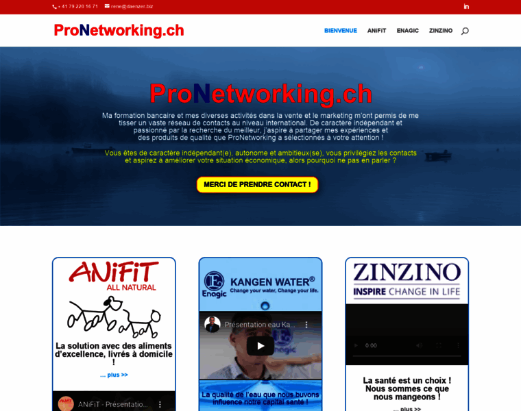 Pronetworking.ch thumbnail