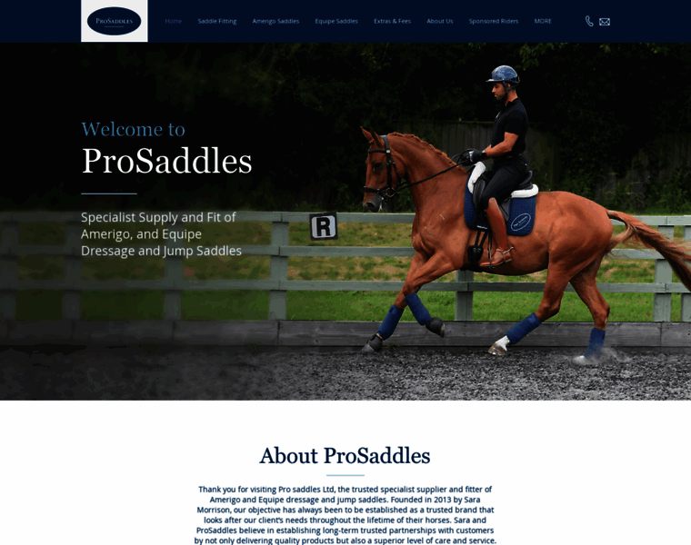 Prosaddles.co.uk thumbnail