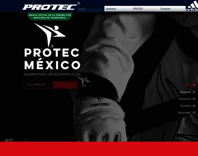 Protec-mexico.com thumbnail