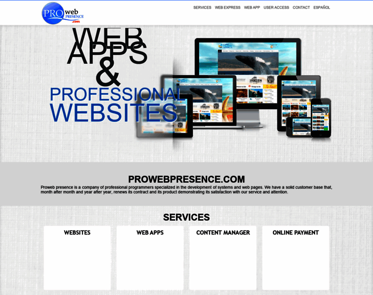 Prowebpresence.com thumbnail