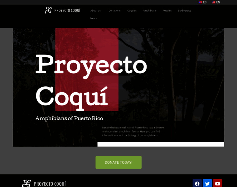Proyectocoqui.com thumbnail