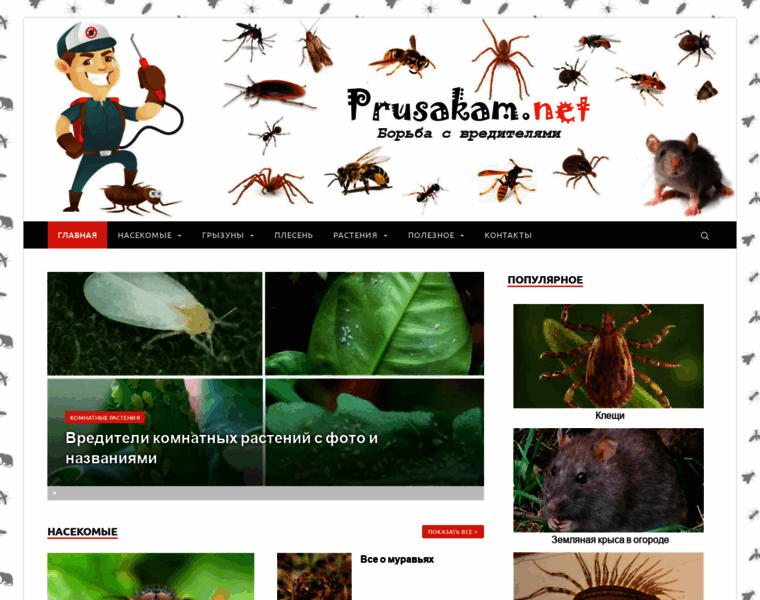 Prusakam.net thumbnail
