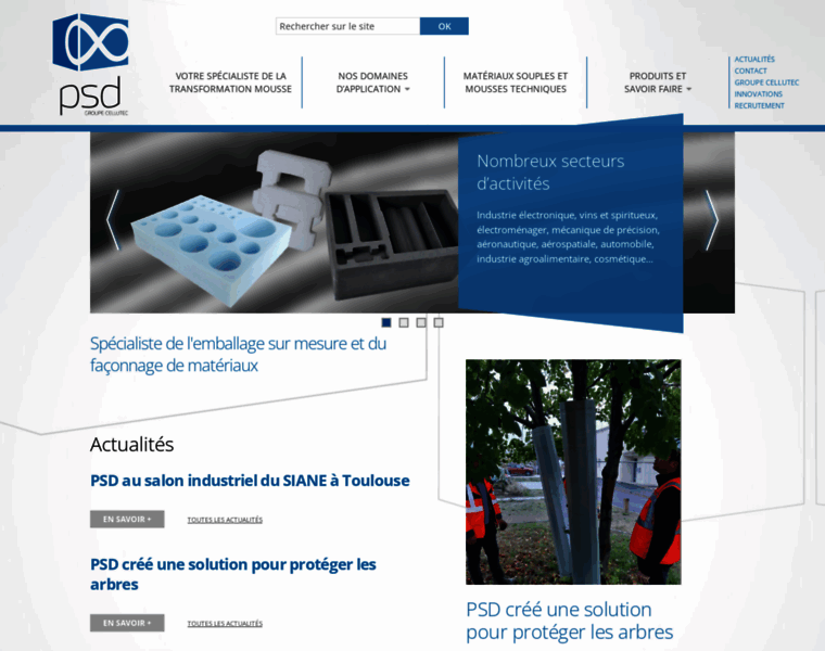 Psdsas.fr thumbnail