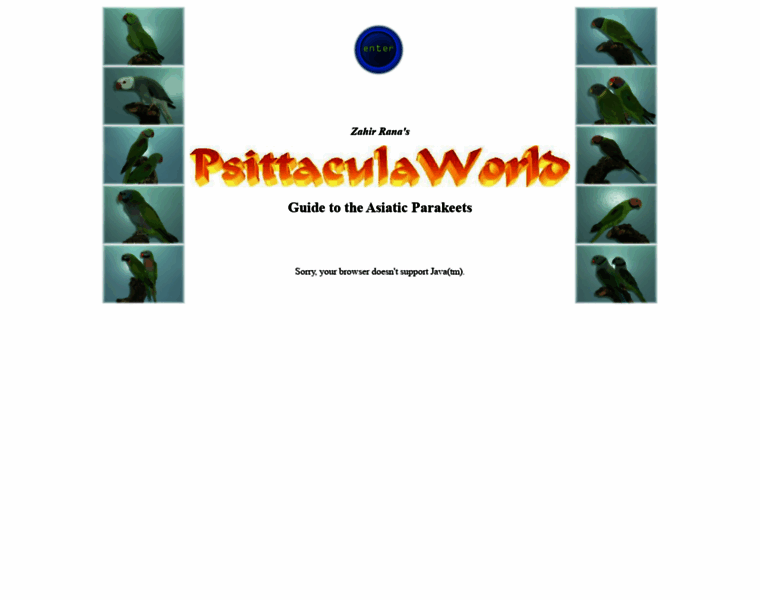 Psittacula-world.com thumbnail