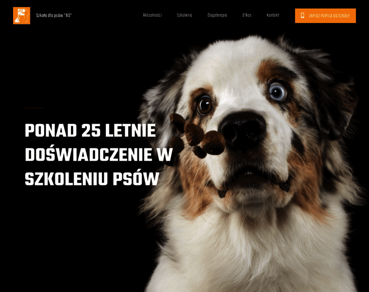 Psy.lublin.pl thumbnail