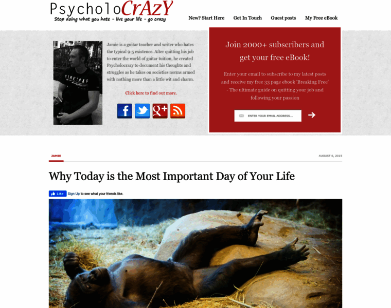 Psycholocrazy.com thumbnail