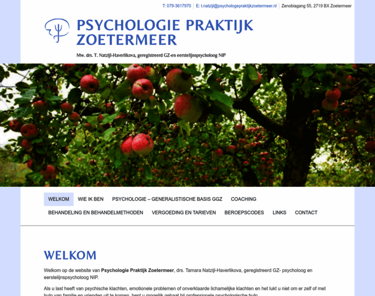 Psychologepraktijkzoetermeer.nl thumbnail