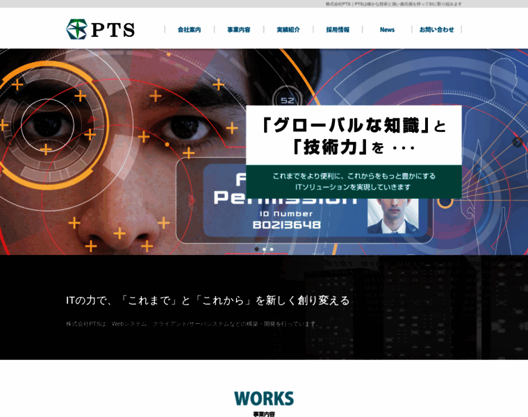 Pt-sys.co.jp thumbnail