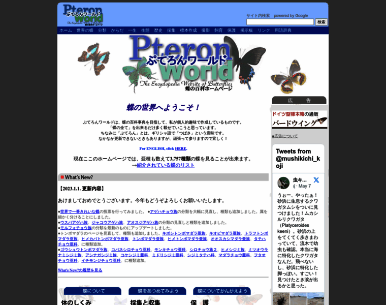 Pteron-world.com thumbnail