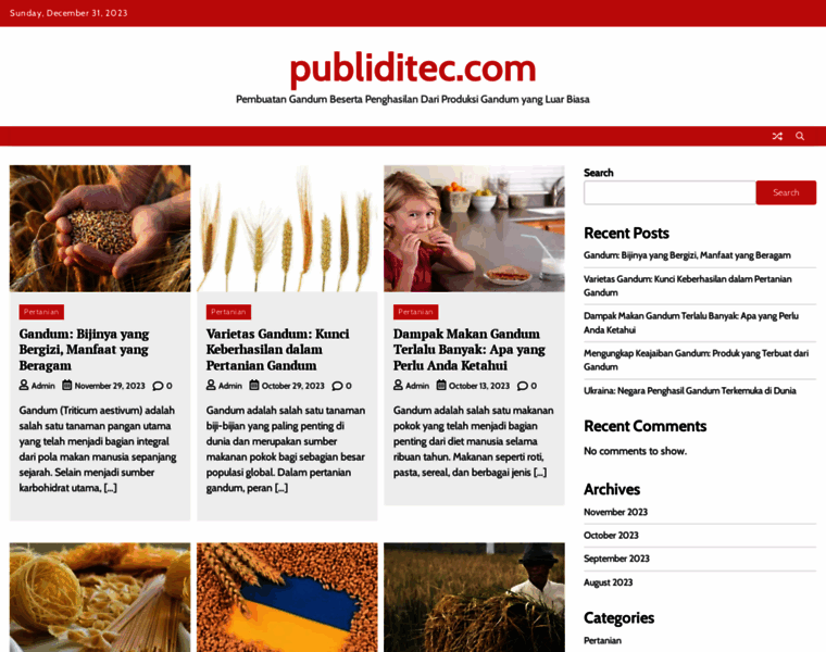 Publiditec.com thumbnail