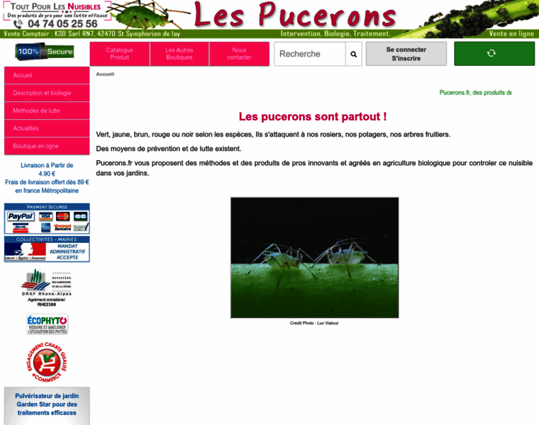 Pucerons.fr thumbnail