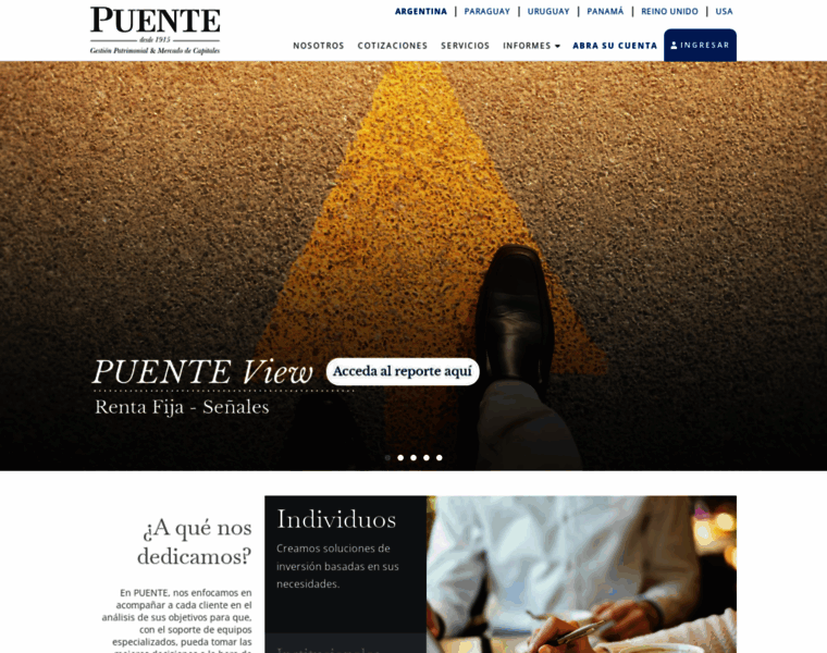 Puentenet.com.ar thumbnail