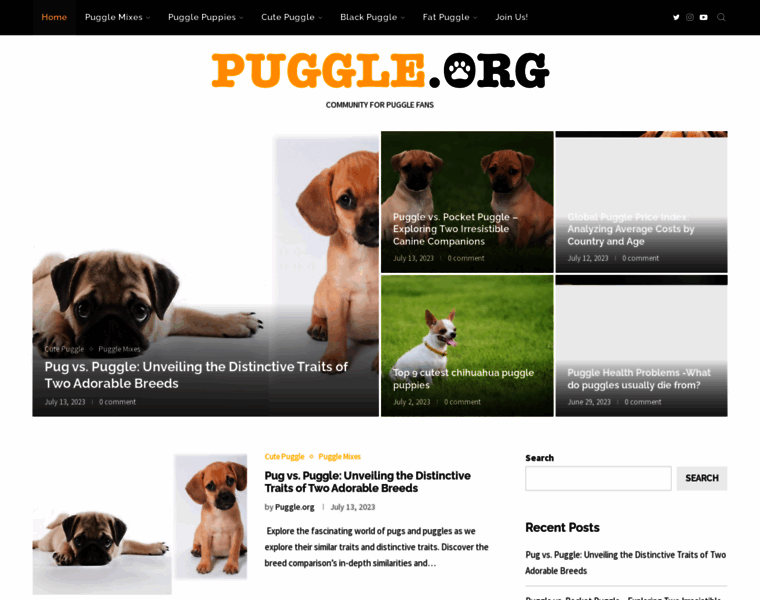 Puggle.org thumbnail