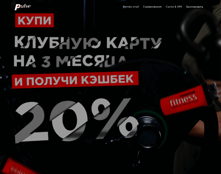 Pulse.kg thumbnail
