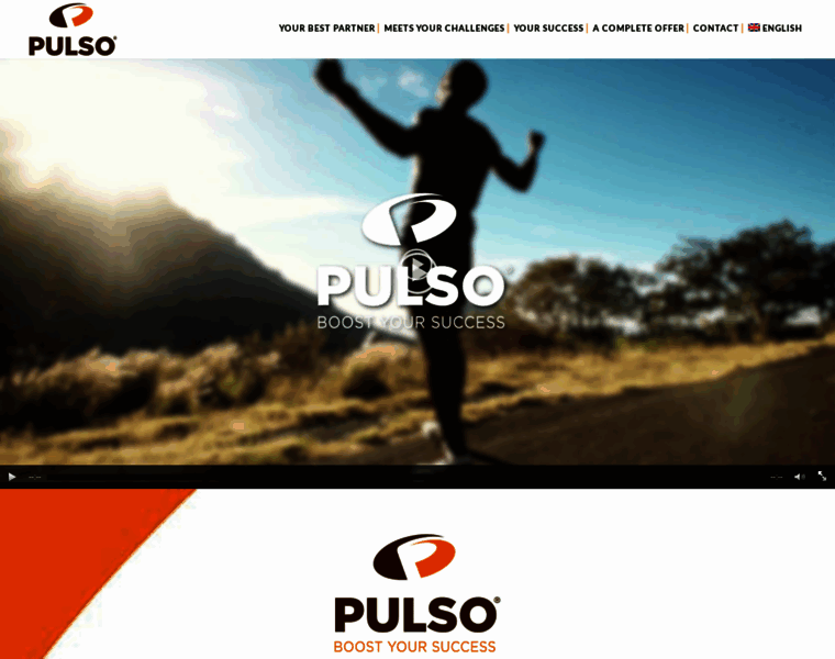 Pulso-lesaffre.com thumbnail