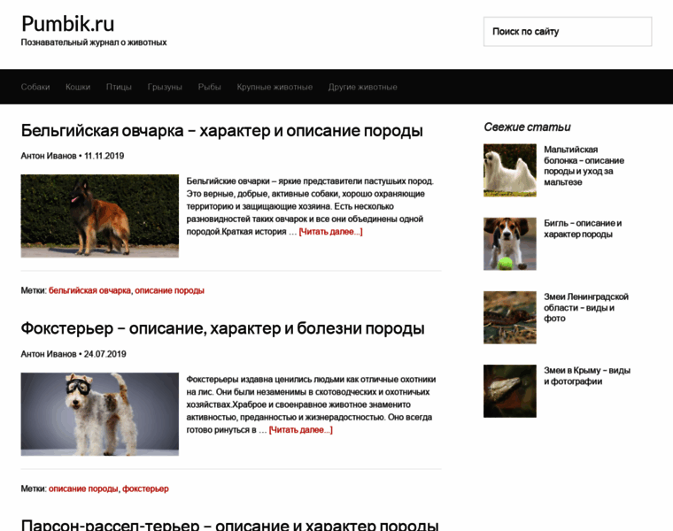 Pumbik.ru thumbnail