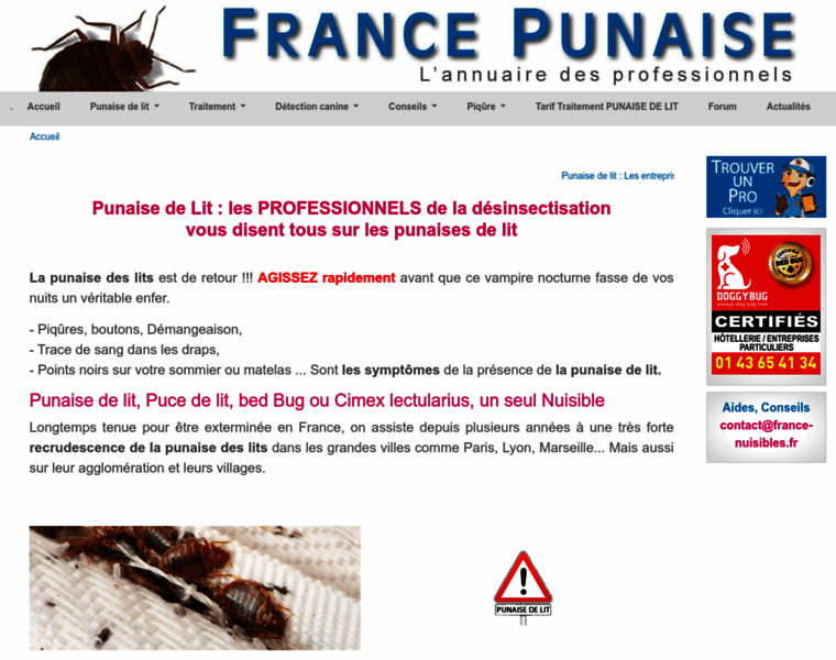 Punaises.fr thumbnail