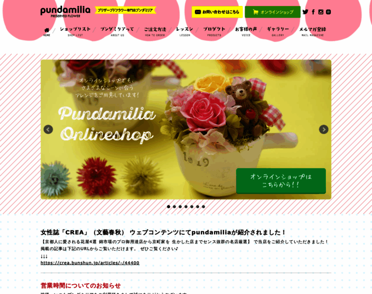 Pundamilia.jp thumbnail