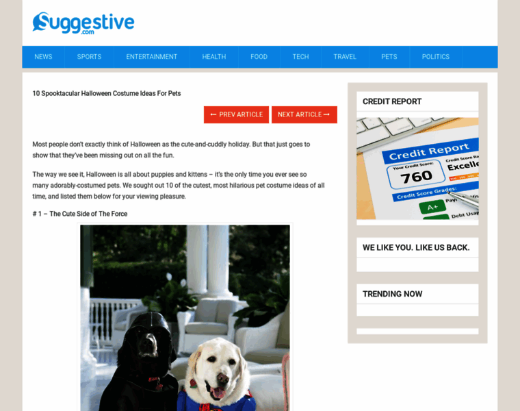 Punekardjs.net thumbnail