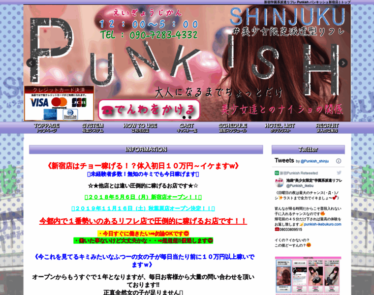 Punkish-shinjuku.com thumbnail
