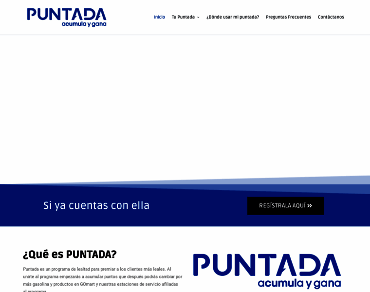 Puntada.com.mx thumbnail