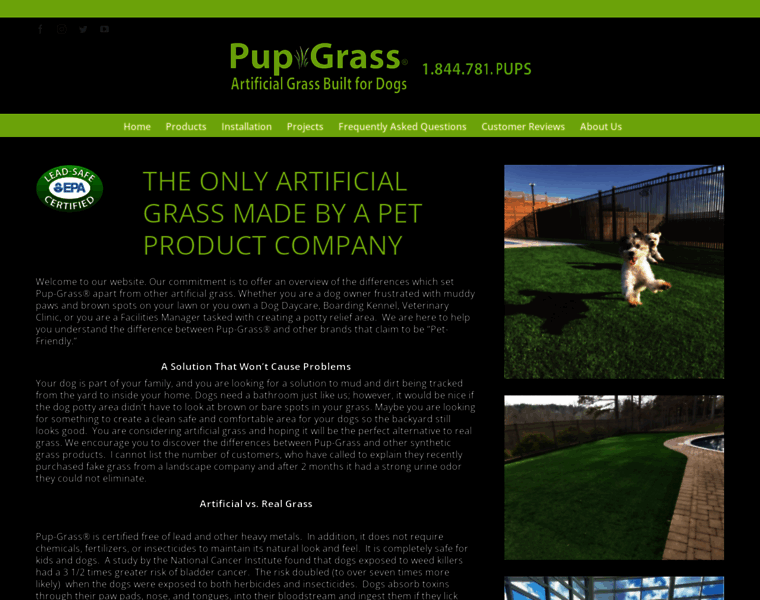 Pup-grass.com thumbnail