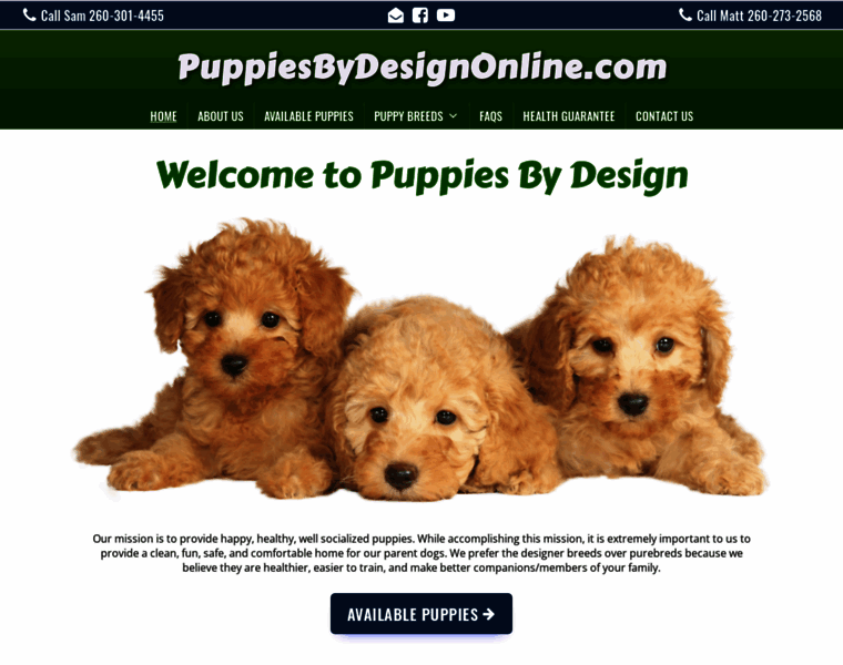 Puppiesbydesignonline.com thumbnail