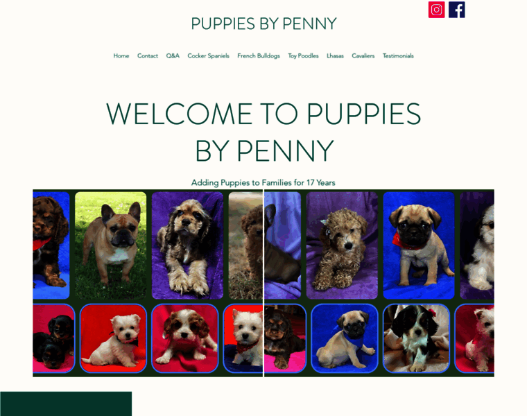 Puppiesbypenny.com thumbnail