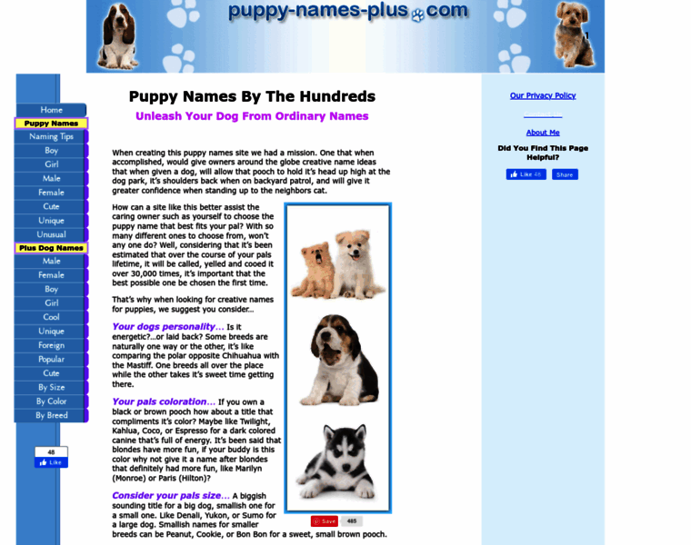 Puppy-names-plus.com thumbnail