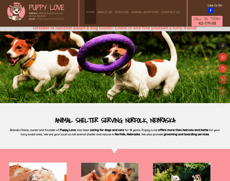 Puppylovenorfolk.com thumbnail Puppylovenorfolk.com thumbnail