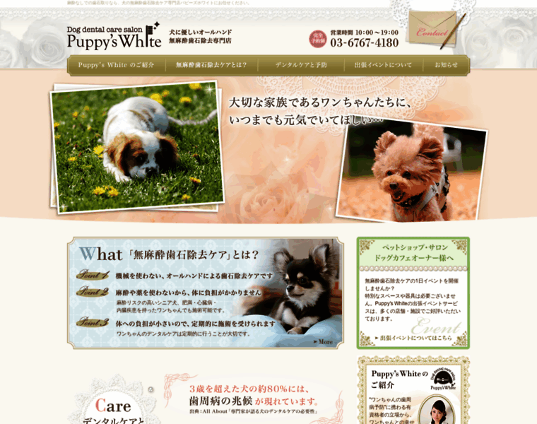 Puppys-white.jp thumbnail