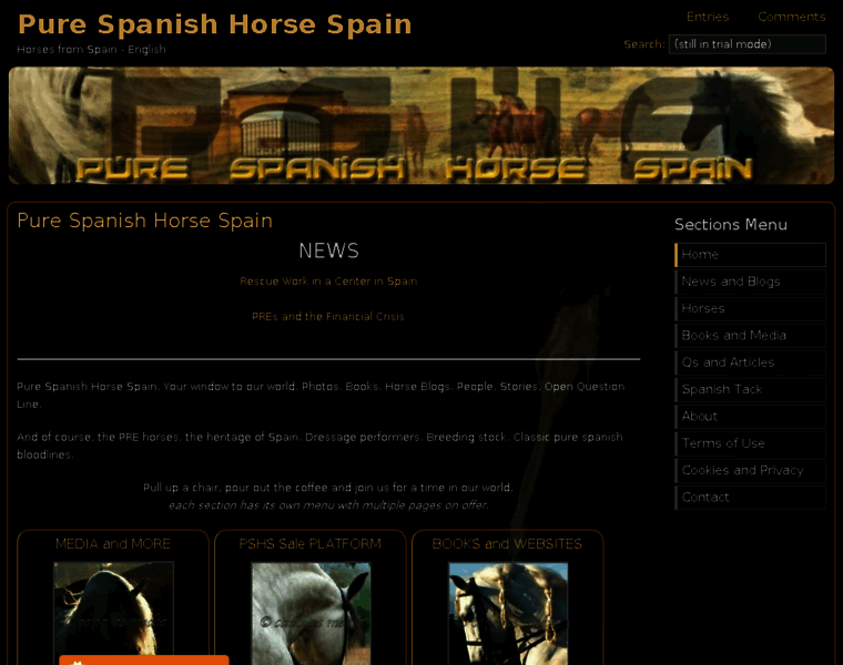Pure-spanish-horse-spain.com thumbnail