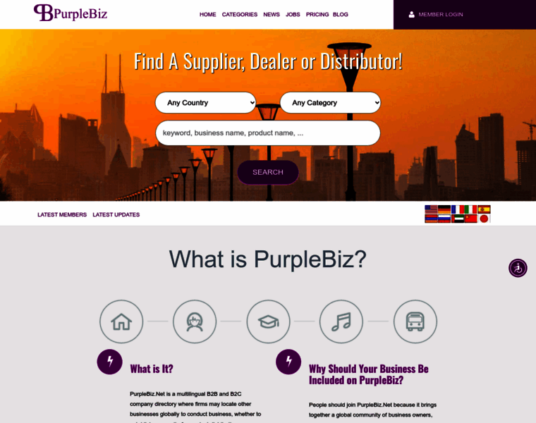 Purplebiz.net thumbnail