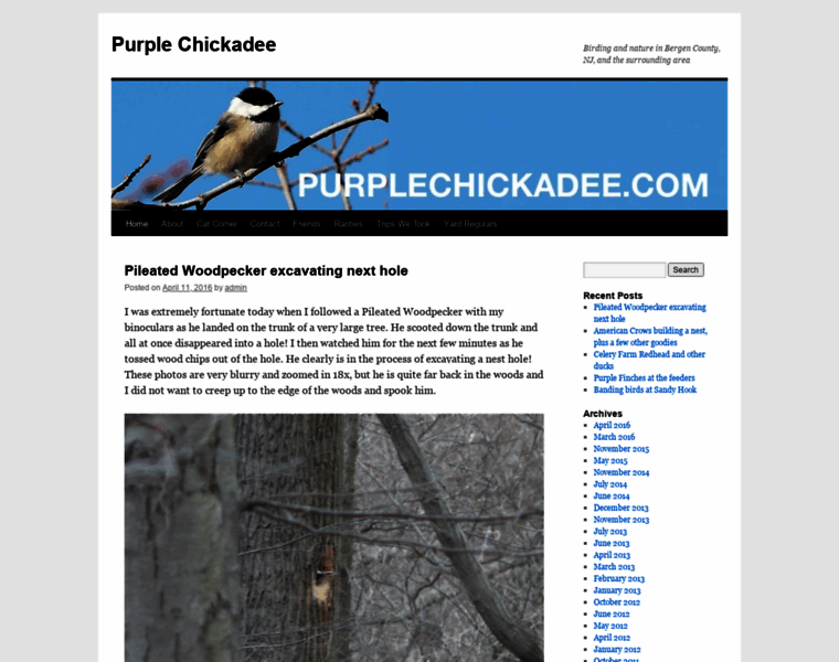 Purplechickadee.com thumbnail