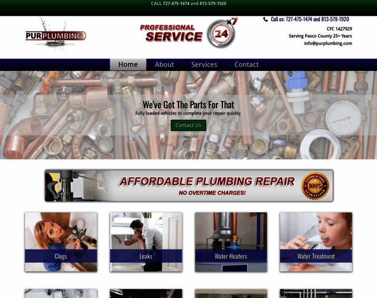 Purplumbingservice.com thumbnail