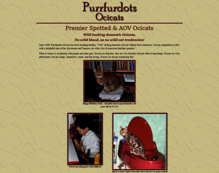 Purrfurdotsocicats.com thumbnail