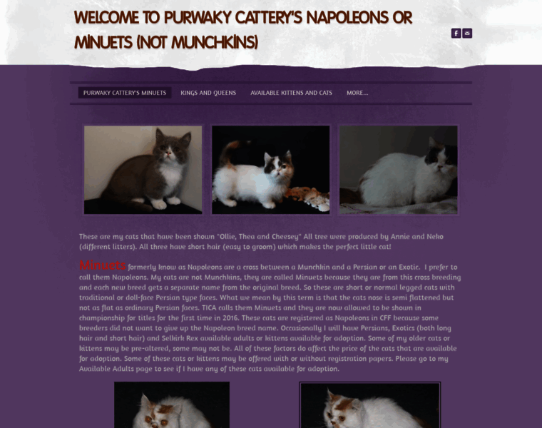 Purwakycattery.weebly.com thumbnail