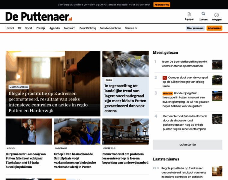 Puttenaer.nl thumbnail