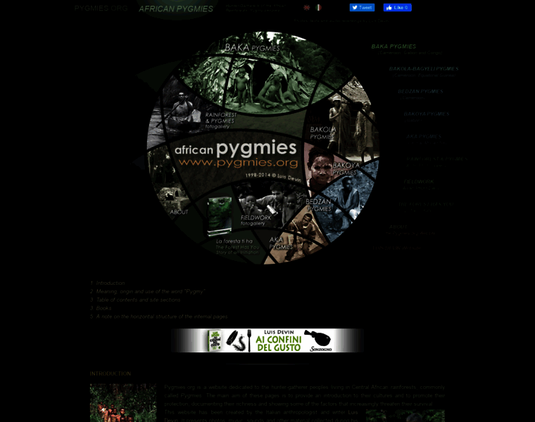 Pygmies.org thumbnail