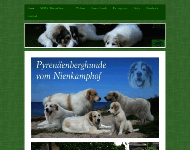 Pyrenaeenberghunde-ruhl.com thumbnail