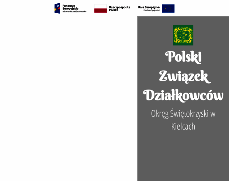 Pzd-kielce.pl thumbnail