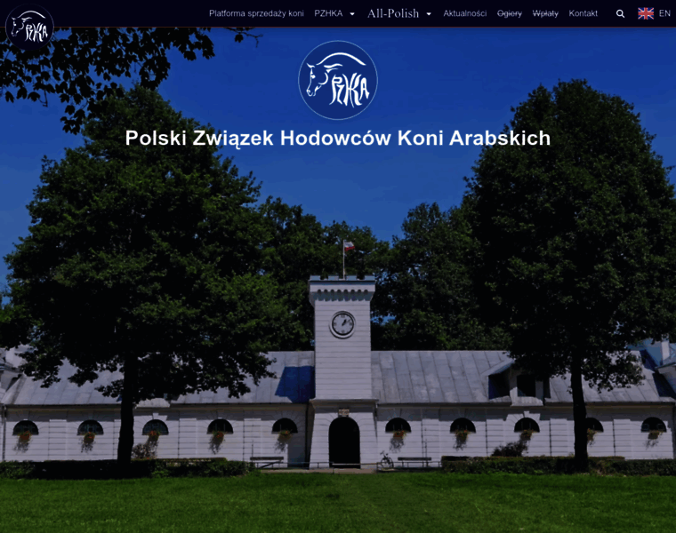 Pzhka.org.pl thumbnail